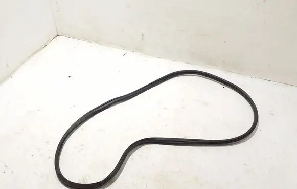 Fiat 500L Rear door rubber seal (on body) 51905922