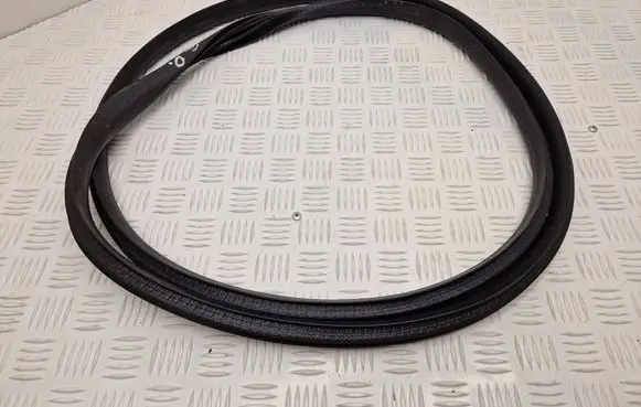 Renault Scenic E-Tech V Rear door rubber seal (on body) 