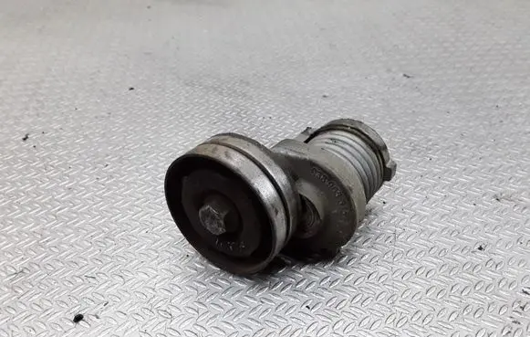 Skoda Fabia Mk1 (6Y) Generator/alternator belt tensioner 038903315T