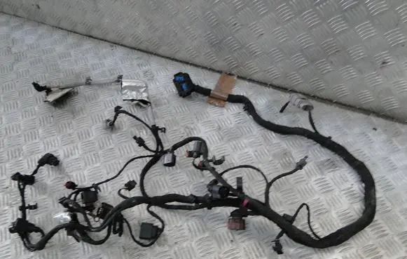 Volkswagen Golf VIII Other wiring loom