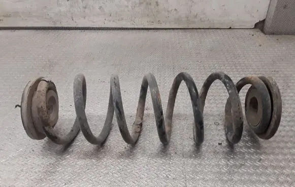 Rear coil spring
