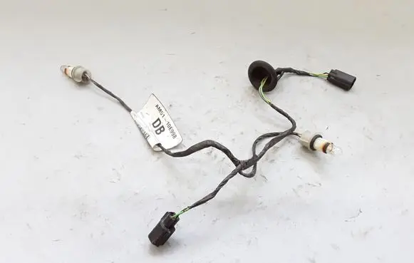 Ford C-MAX II Other wiring loom AM5110E998DB