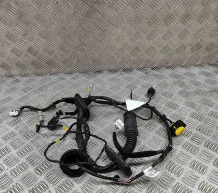 Front door wiring loom