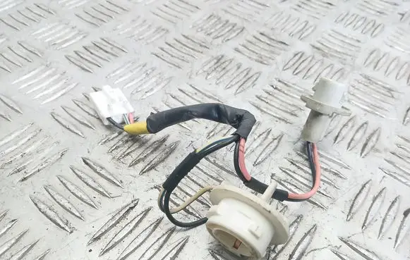 KIA Carens I Tail light bulb cover holder 