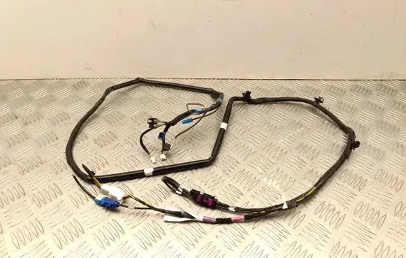 Tesla Model Y Other wiring loom 161669103D HBT232965A0438