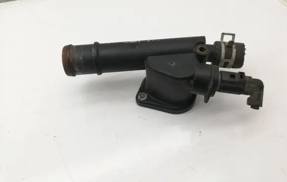 Thermostat/thermostat housing
