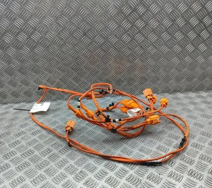 Volkswagen ID.4 Other wiring loom 1EA971398CB