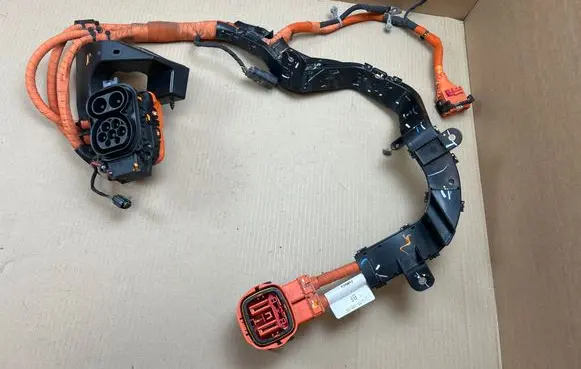 Ford Mustang Mach-E Electric car charge socket LJ9814B308