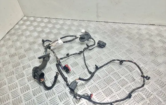 Ford C-MAX II Rear door wiring loom AV6T14240lha