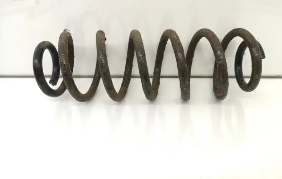 Volkswagen PASSAT B6 Rear coil spring