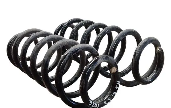 Rear coil spring