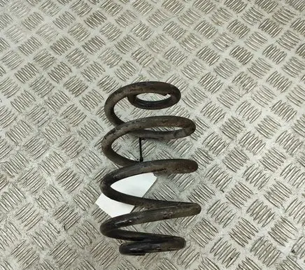 Nissan Leaf II (ZE1) Rear coil spring 550205SJ1B