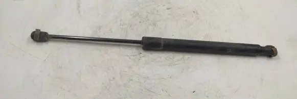 Tailgate strut