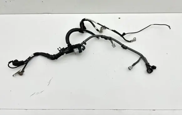 Subaru Outback (BT) Negative earth cable (battery) F0009288105