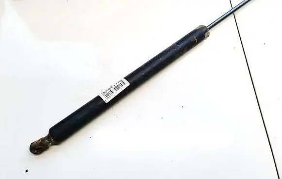 Tailgate/trunk strut/damper