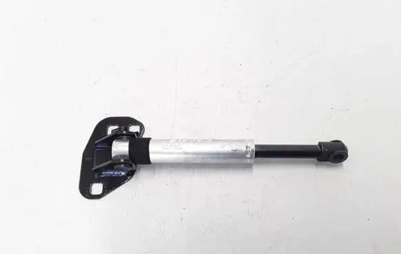 Tailgate strut