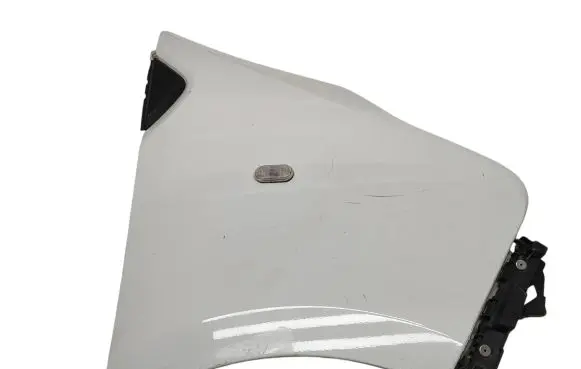 Renault Trafic III (X82) Fender