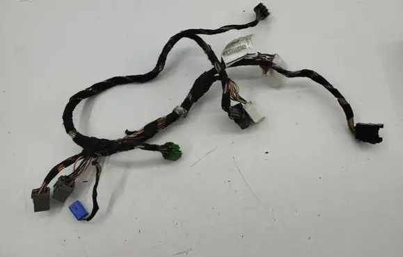 Front door wiring loom