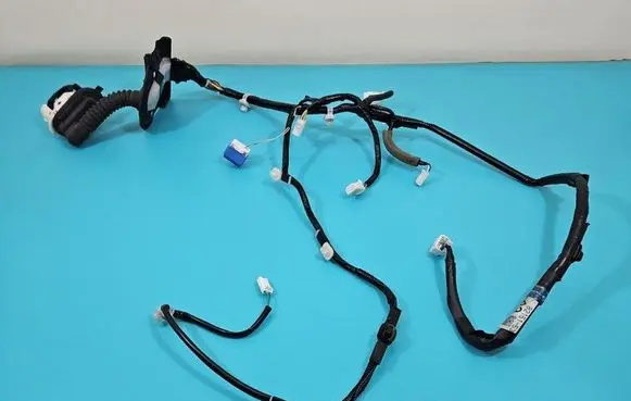 Front door wiring loom