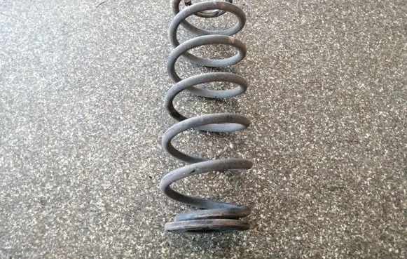 Volkswagen Golf V Rear coil spring
