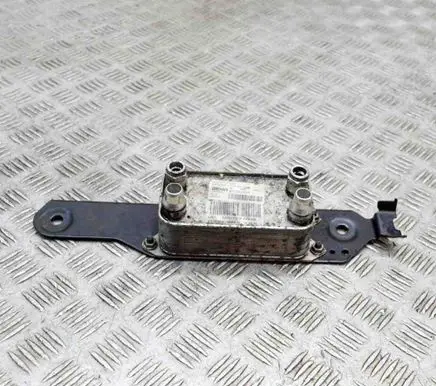 Mercedes-Benz E C207 W207 Engine oil radiator A0995002300 X1790004
