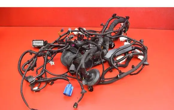 BMW X7 G07 Other wiring loom A00127234
