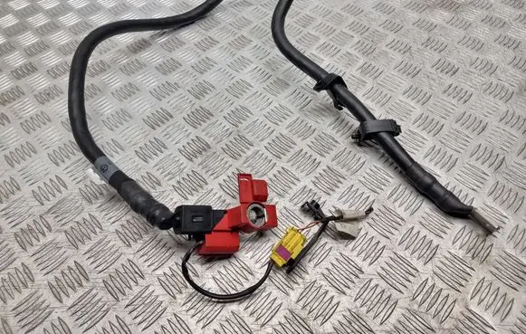 Volkswagen Phaeton Positive cable (battery) 3D0915521B