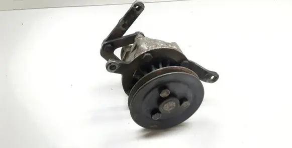 BMW 5 E34 Power steering pump 1133386