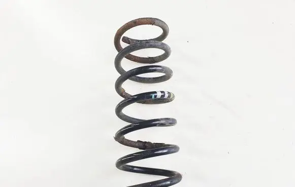Rear coil spring