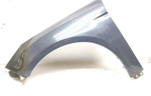 Ford Focus Fender