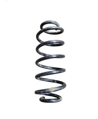 Rear coil spring