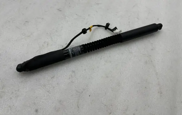 Tesla Model X Other devices 106344001F 21186383 599688