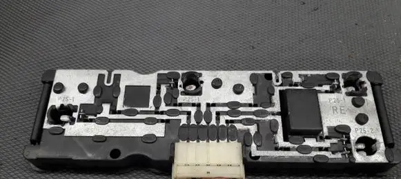 Volkswagen Golf I Tail light bulb cover holder 171945256A1