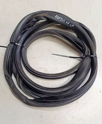 Renault Captur Front door rubber seal AW6F5AW8451