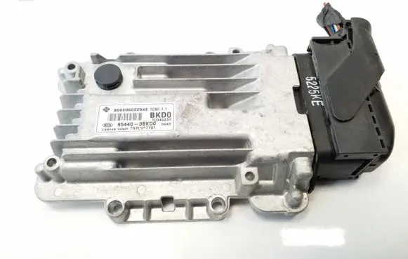 KIA Carens III Other control units/modules 954403BKD0