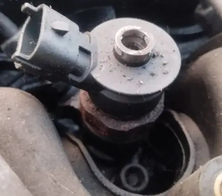 Peugeot Partner Fuel injector 0445110311