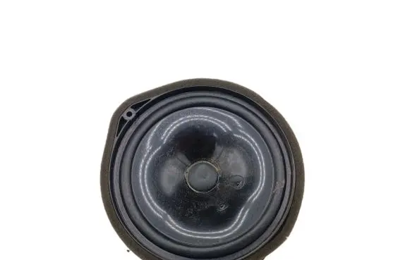 Honda Accord Rear door speaker