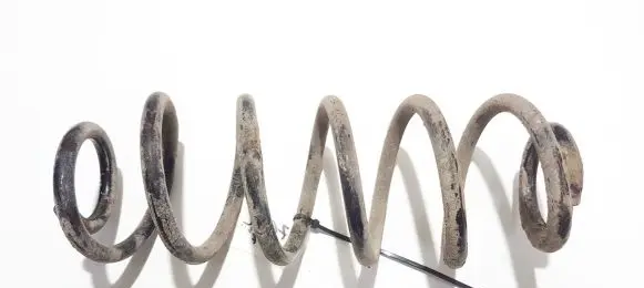 Volkswagen Golf V Rear coil spring