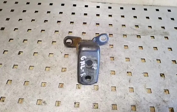 Rear door lower hinge