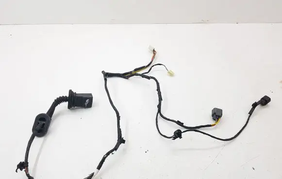 Rear door wiring loom