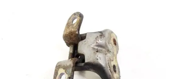 Hyundai Getz Rear door lower hinge
