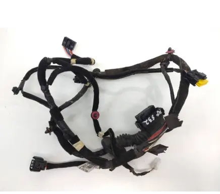 KIA Rio Front door wiring loom 916001w290d