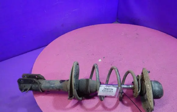 Fiat Punto (176) Front shock absorber with coil spring