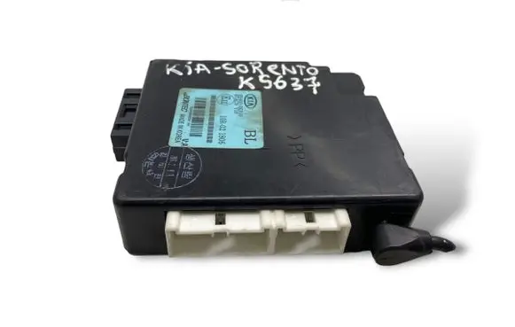 KIA Sorento Other control units/modules 954003E310