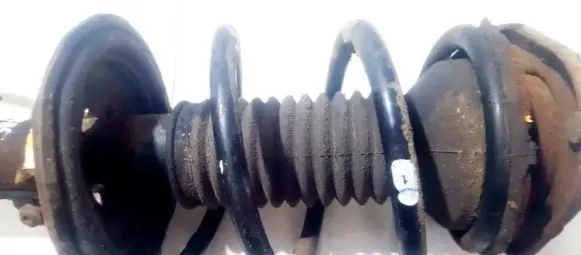 Toyota Corolla Verso AR10 Front coil spring