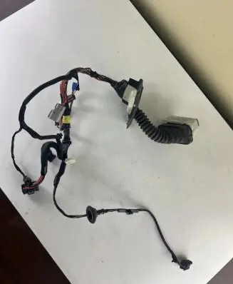 Front door wiring loom