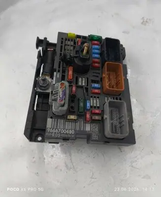 Citroen Berlingo Fuse module 9666700480