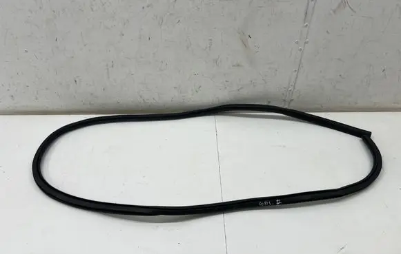 Ford Mustang Mach-E Rear door rubber seal (on body) LJ8BR20708AD
