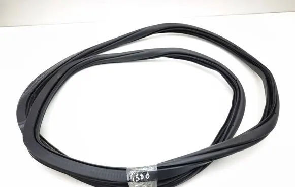 Skoda Enyaq iV Rear door rubber seal (on body) 