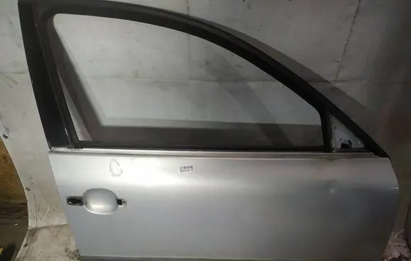 Volkswagen PASSAT B5 Front door pilkos